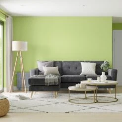 Dulux Walls & Ceilings Kiwi Crush Silk Emulsion Paint, 2.5L -Home Paint Shop dulux walls ceilings kiwi crush silk emulsion paint 2 5l5010212640074 02i bq